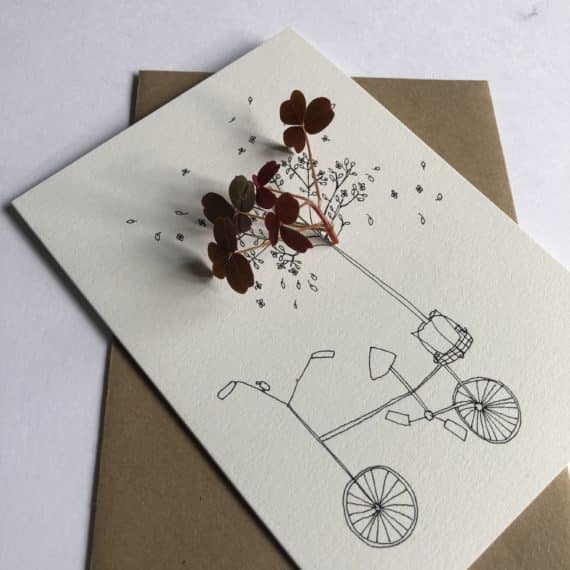 Carte - Vélo - Papillonnage