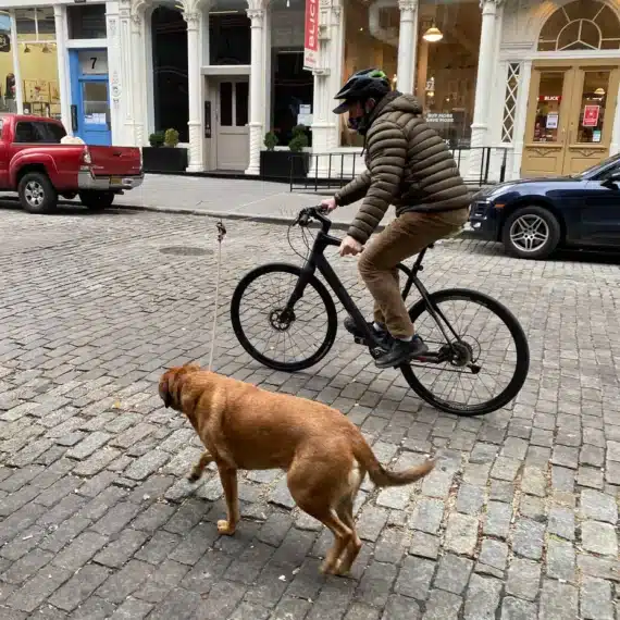 Laisse de vélo pour chien